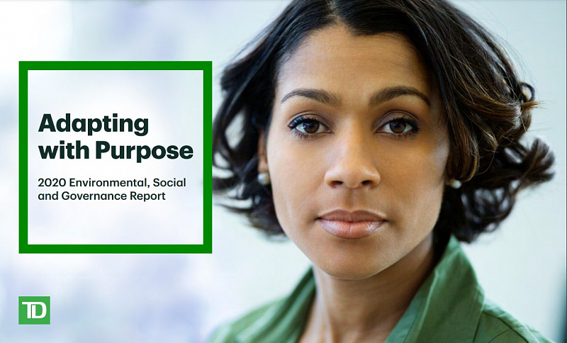 Adapting with Purpose - 2020 Environmental, Social and Governance Report